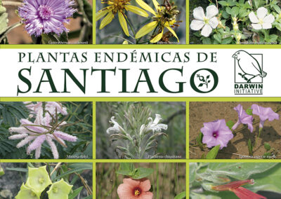 Plantas endémicas de Santiago de chiquitos