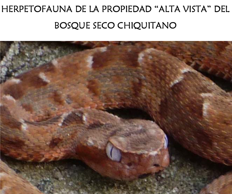 Herpetofauna de la propiedad “Alta Vista” del Bosque Seco chiquitano