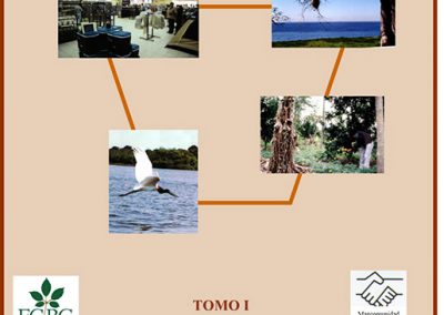Plan de Desarrollo Municipal Puerto Suárez 2001-2005 Tomo I Diagnóstico