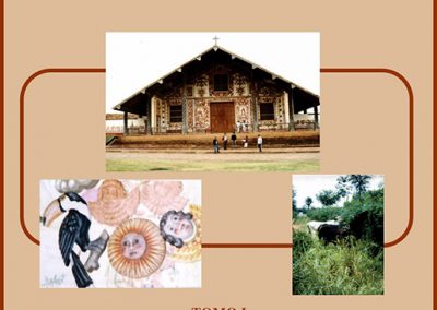 Plan de Desarrollo Municipal San Miguel de Velasco 2001-2005 Tomo I Diagnóstico