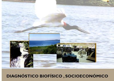 Diagnóstico Biofisico, Socioeconómico y Cultural Municipal – Puerto Suárez