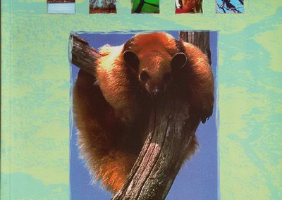 Vida Silvestre – Programa Piloto de Educación Ambiental