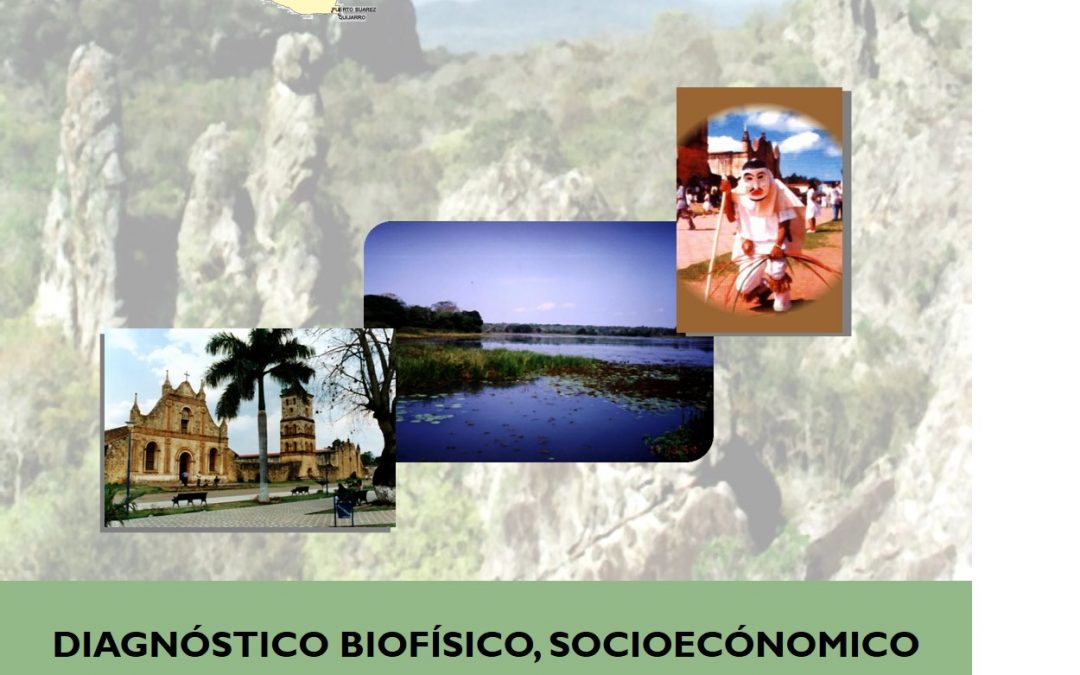 Diagnóstico Biofísico, Socioeconómico y Cultural Municipal – San José de Chiquitos