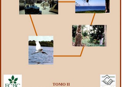 Plan de Desarrollo Municipal Puerto Suárez 2001-2005 Tomo II Estrategia