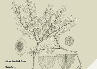 Guía de árboles y arbustos del Bosque Seco Chiquitano