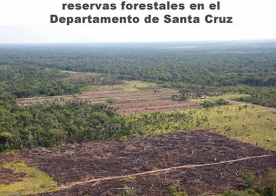 Problemática de las reservas forestales en el Departamento de Santa Cruz
