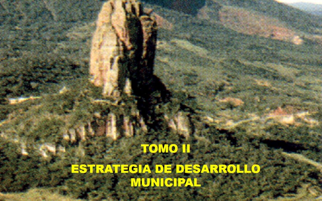 Plan de Desarrollo Municipal de Roboré 2001 – 2005 – Tomo II Estrategia