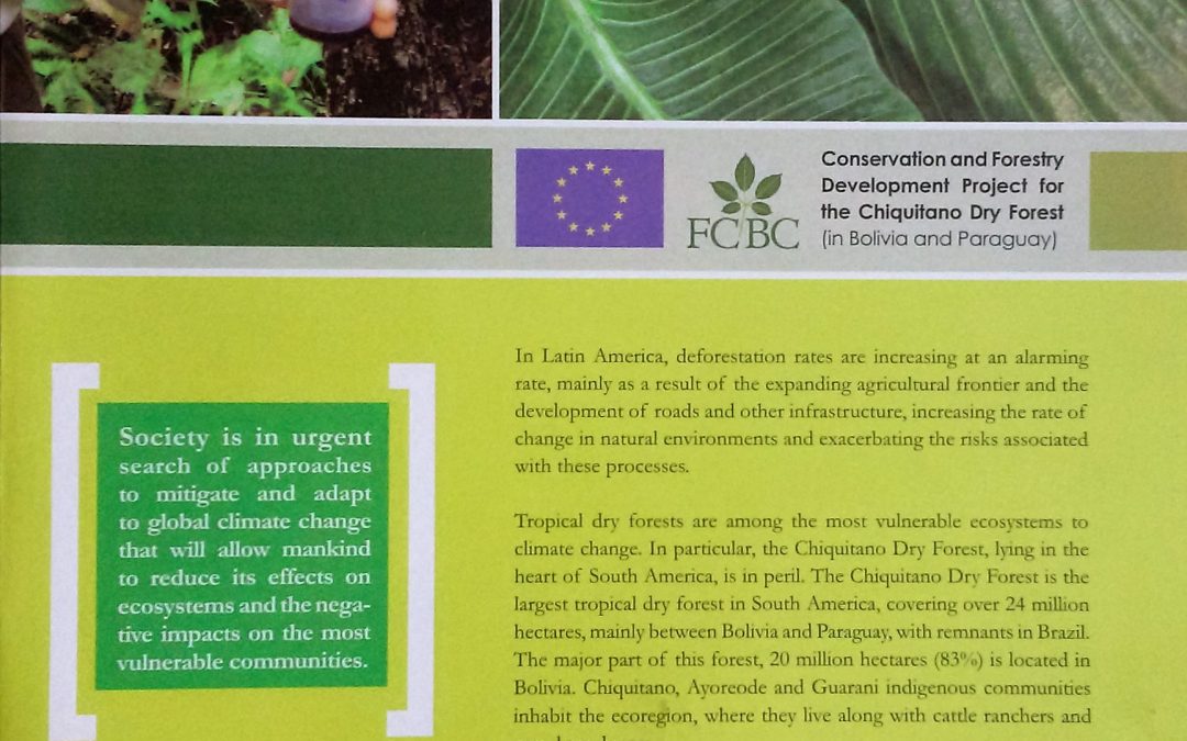 Folleto inglés Proyecto «Conservación y desarrollo forestal de la ecorregión del Bosque Seco Chiquitano»