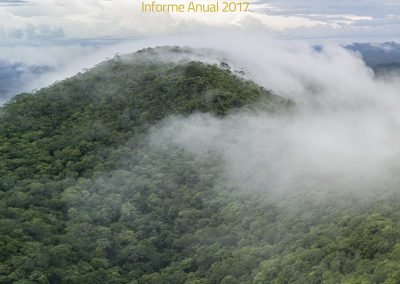 FCBC – Informe de Gestión 2017
