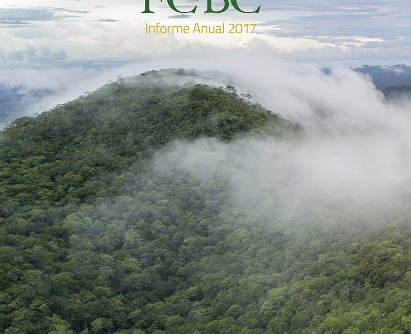 FCBC – Informe de Gestión 2017
