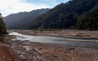 Paisajes Productivos Protegidos, la experiencia de ProYungas en Argentina y su potencial aplicación en Bolivia