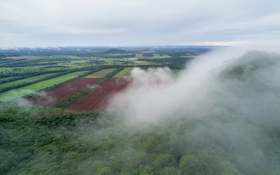 Lista Roja de Ecosistemas se aplica por primera vez en Bolivia