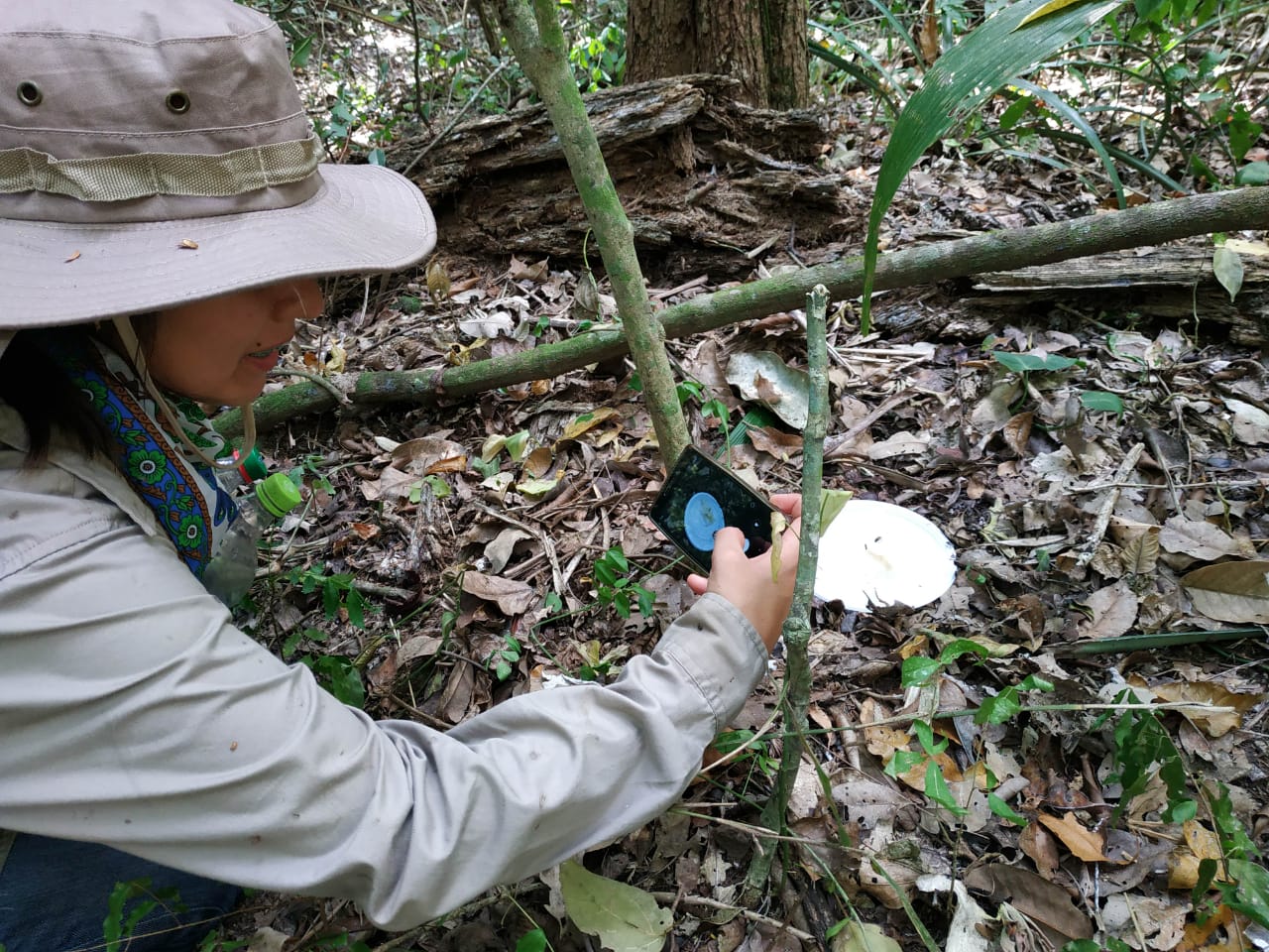 Aventuras y aprendizaje en los bosques de Alta Vista