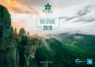 Informe Anual 2019