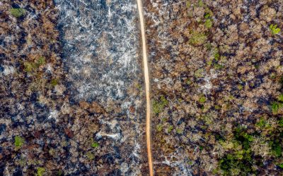 Especialistas de la FCBC contribuyen al conocimiento científico con un estudio entre la relación de la fragmentación del bosque, sequías e incendios forestales en el departamento de Santa Cruz