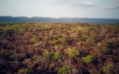 FCBC llevó a cabo reunión de gobernanza institucional