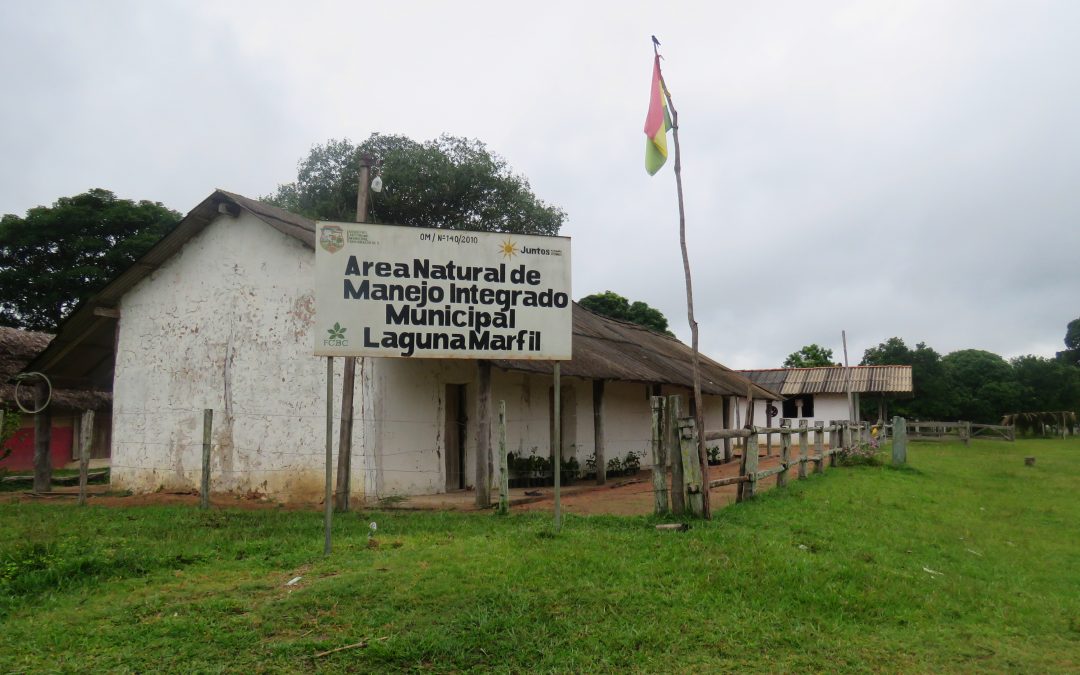 Miembros del equipo técnico del OBSCh y un grupo de investigadoras de la UAGRM estudian el impacto de los incendios forestales en el ANMI Laguna Marfil
