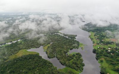 Bajo Paraguá, una región que busca mantenerse con vida