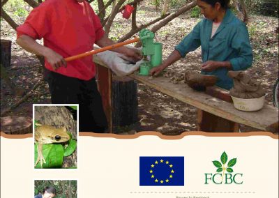 Memoria Anual Proyecto Regional 2008