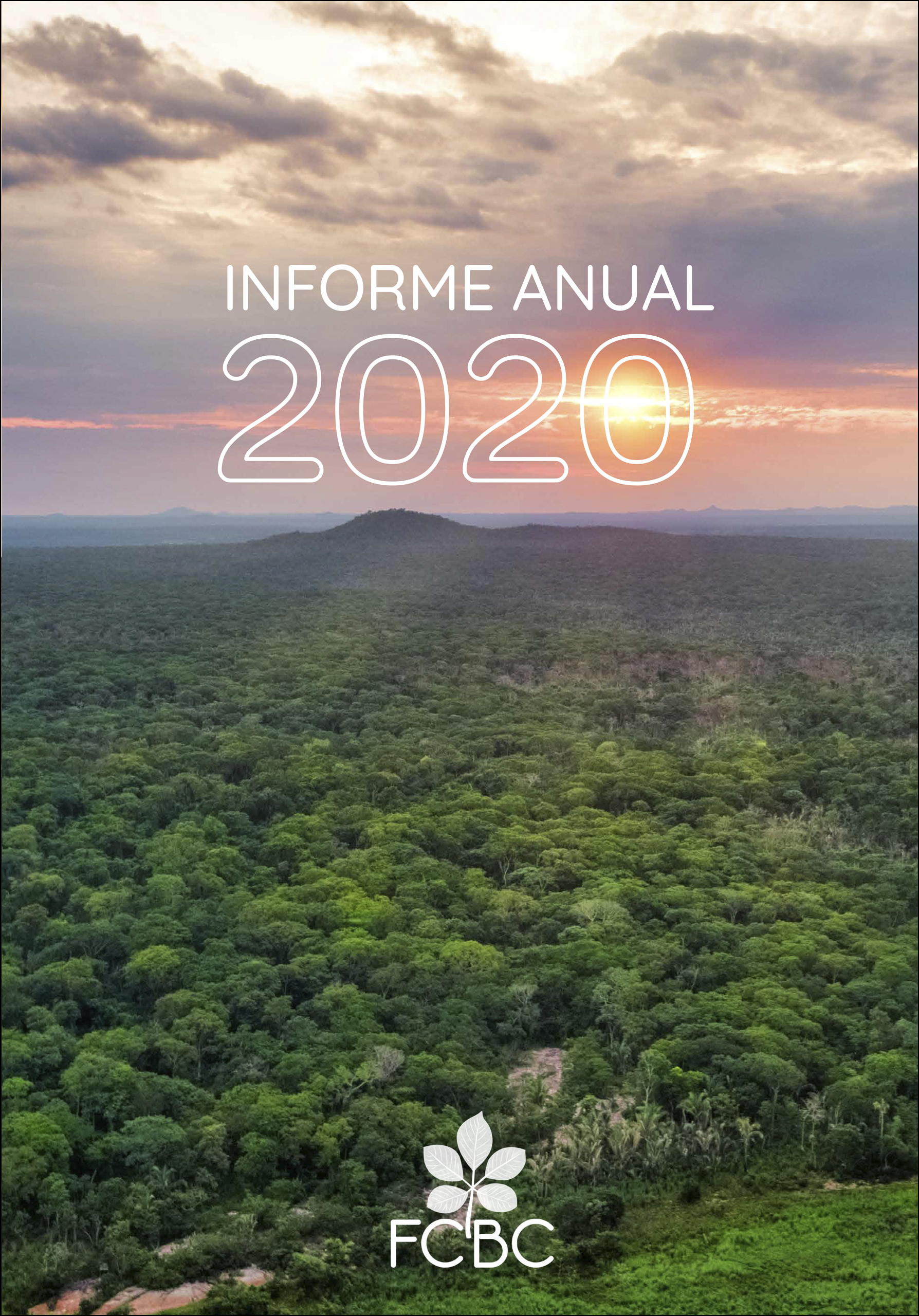 Informe anual 2020