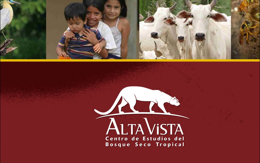 Memoria Alta Vista 2010