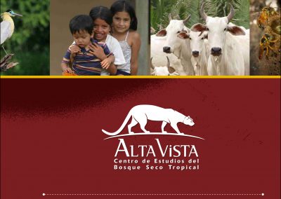 Memoria Alta Vista 2010