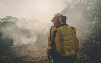 Brigadas comunales de primera respuesta atienden incendios forestales en la Chiquitania
