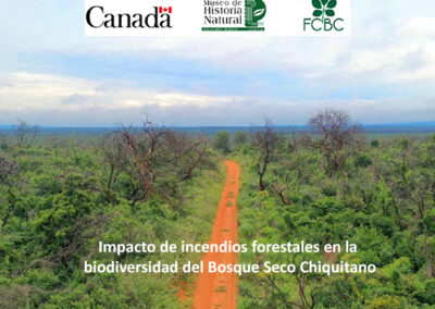 Impacto de incendios forestales en la biodiversidad del Bosque Seco Chiquitano