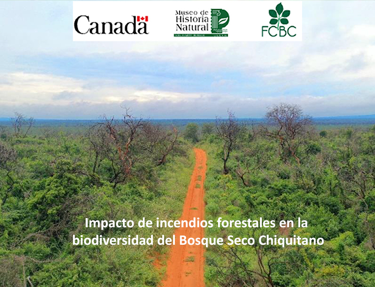 Impacto de incendios forestales en la biodiversidad del Bosque Seco Chiquitano