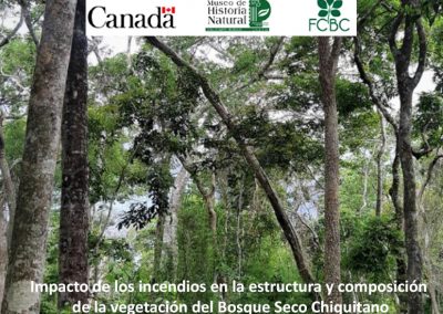 Impacto de los incendios en la estructura y composición de la vegetación del Bosque Seco Chiquitano