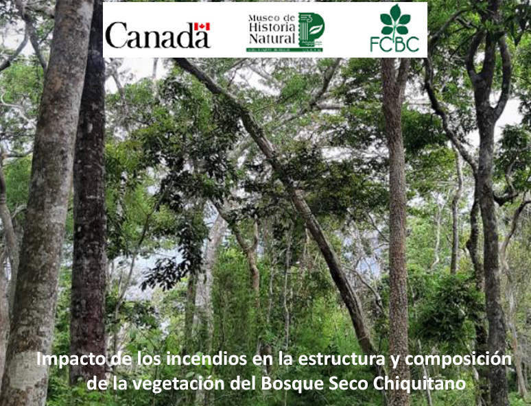 Impacto de los incendios en la estructura y composición de la vegetación del Bosque Seco Chiquitano