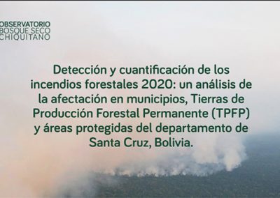 Detección y cuantificación de los incendios forestales 2020 en el departamento de Santa Cruz