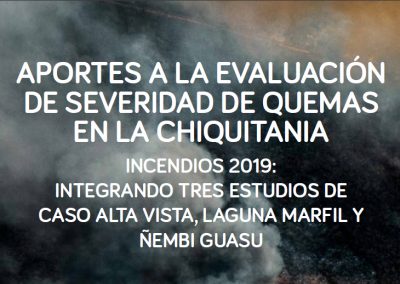 Aportes a la evaluación de severidad de quemas en la Chiquitania