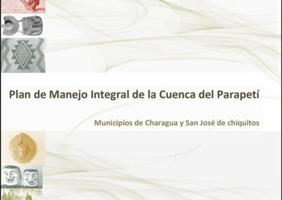 Plan de Manejo Integral de la Cuenca del Parapetí