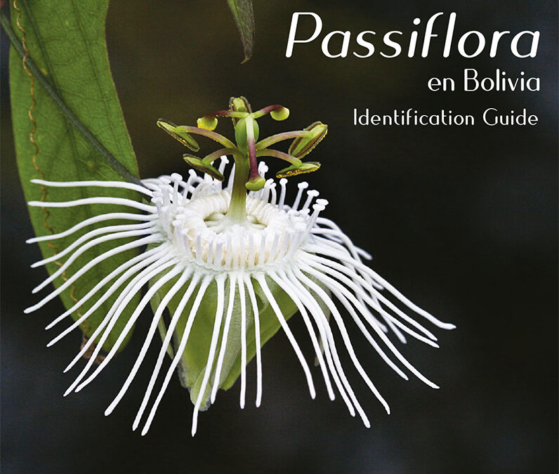 Guía de la identificación del Género Passiflora