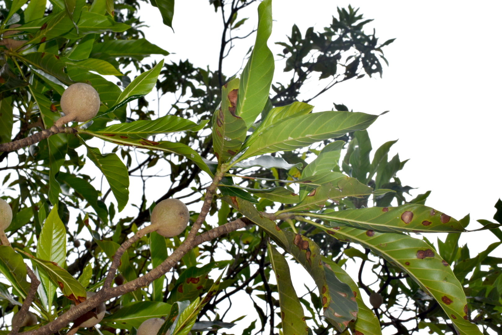 S2021_SA_032_web02