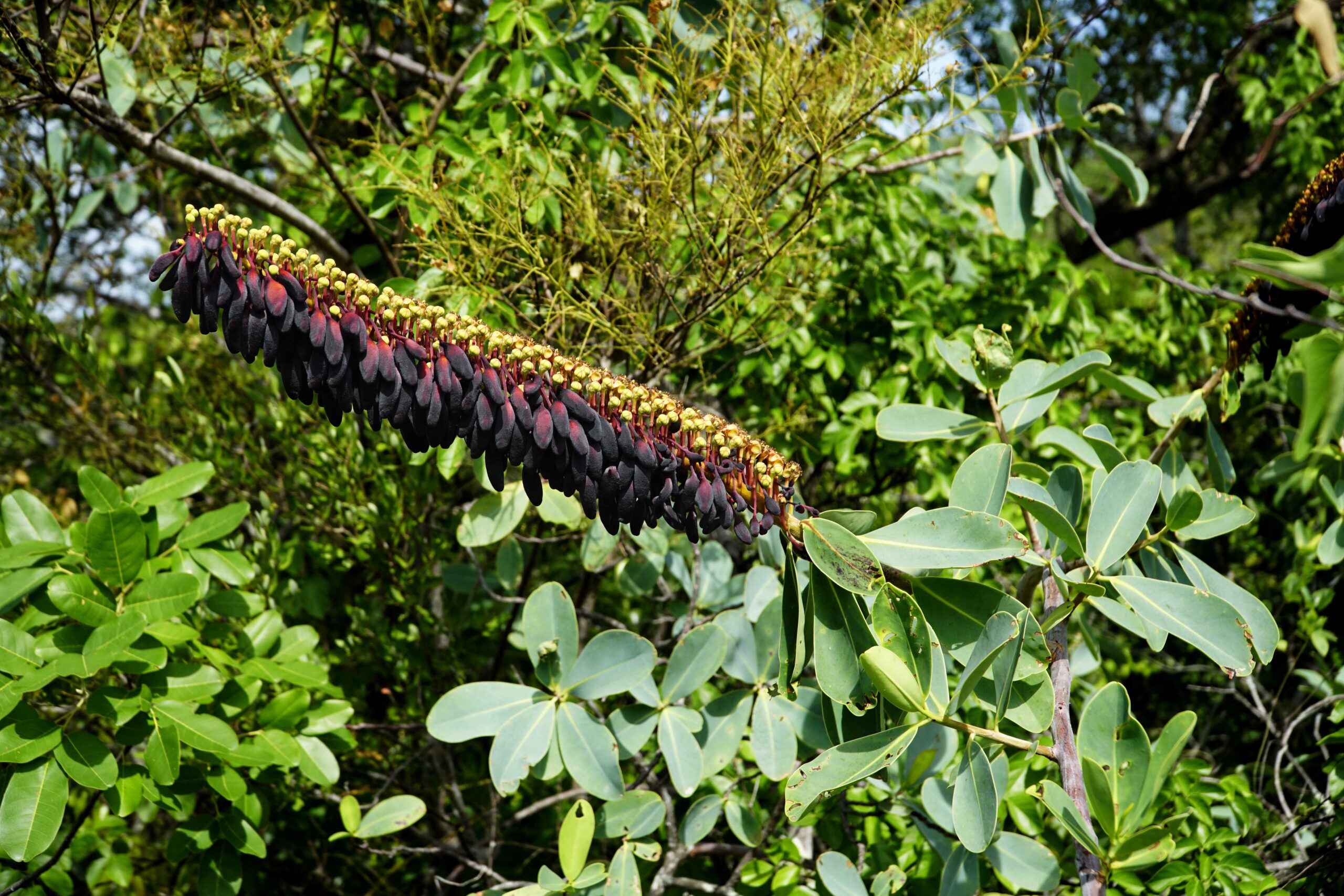 S2021_SA_P003_web