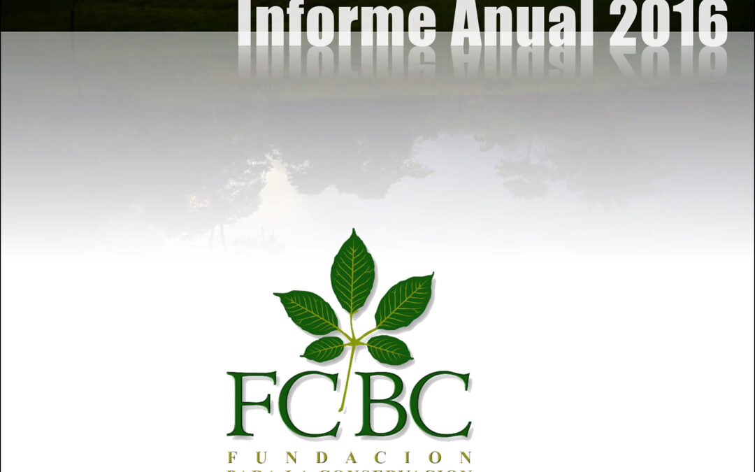Informe Anual 2016