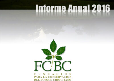 Informe Anual 2016