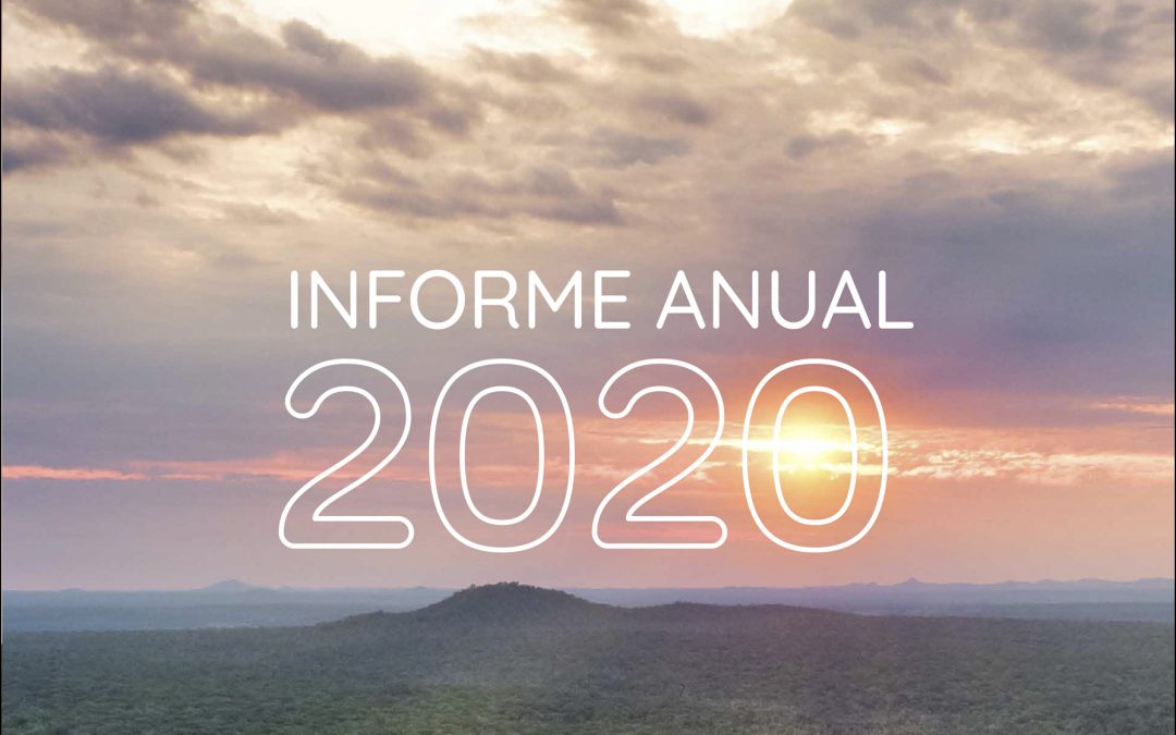 Informe Anual 2020