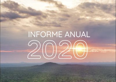 Informe Anual 2020