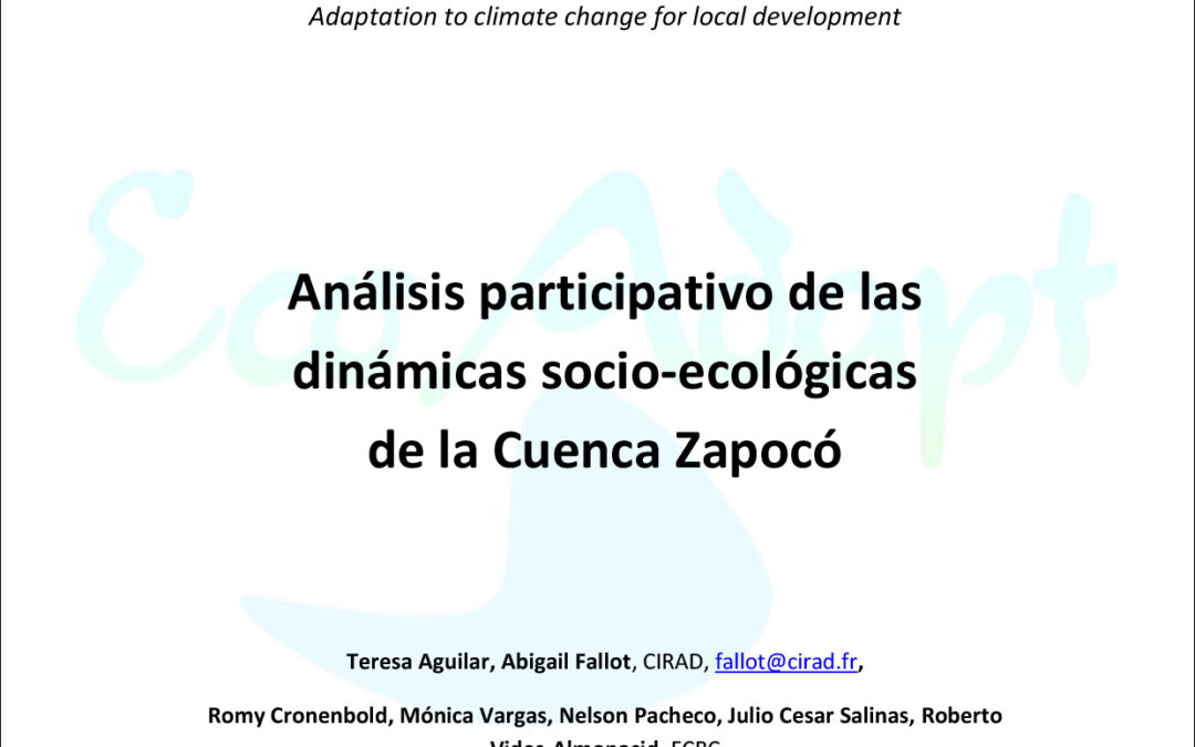 Análisis participativo de las dinámicas socio-ecológicas de la Cuenca Zapocó