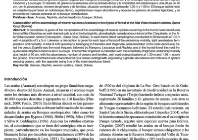 Composición del ensamblaje de arañas tejedoras