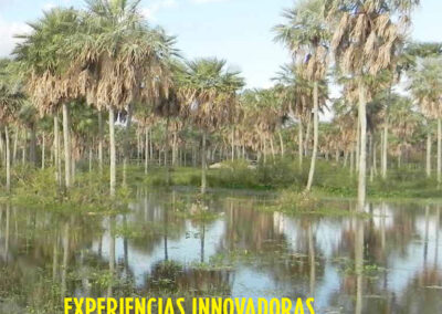Experiencias innovadoras de producción sostenible en Paraguay