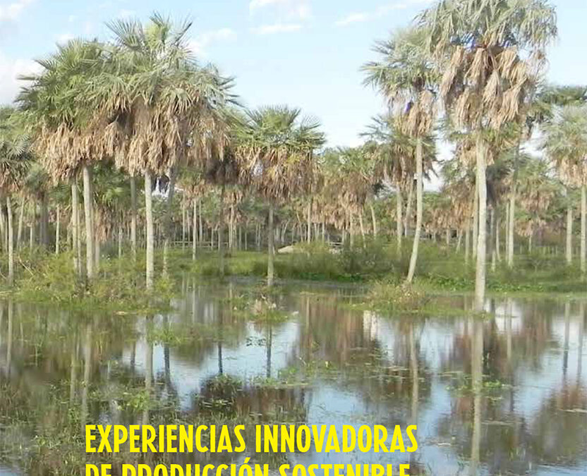 Experiencias innovadoras de producción sostenible en Paraguay