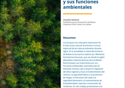 Los bosques de Bolivia y sus funciones ambientales