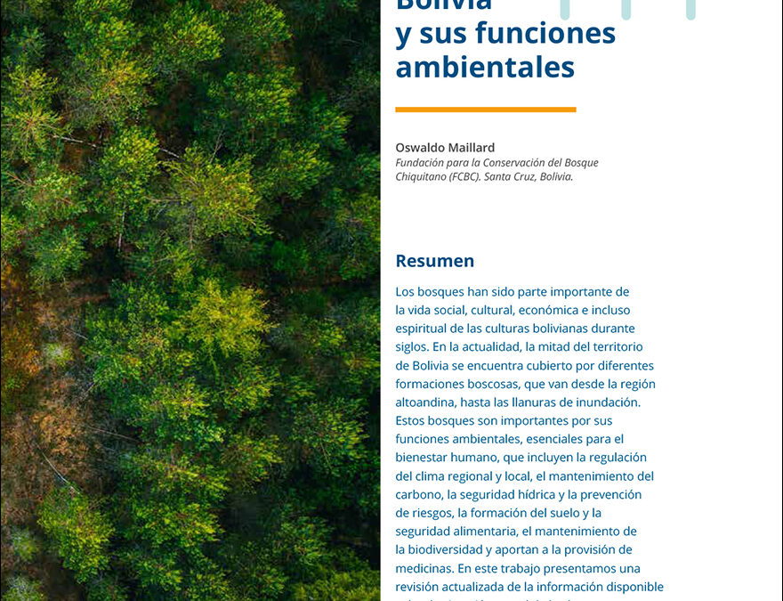 Los bosques de Bolivia y sus funciones ambientales
