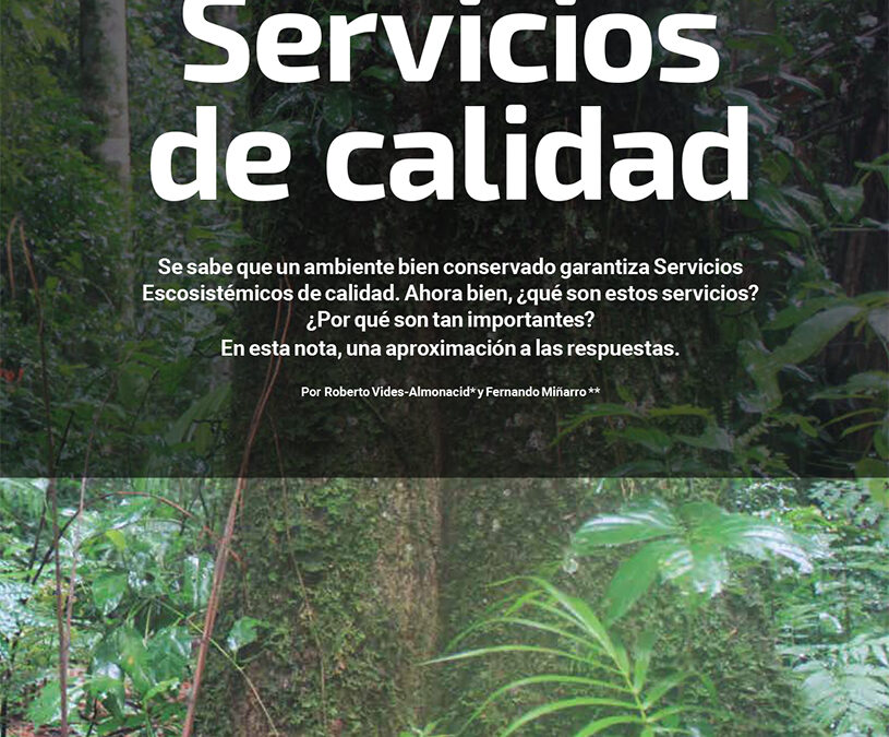 Servicios de calidad