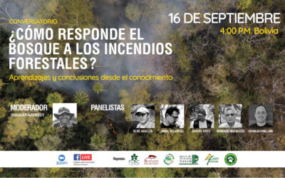 Cinco especialistas darán disertaciones en el conversatorio “¿Cómo responde el bosque a los incendios forestales?”