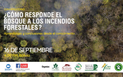 Conversatorio: ¿Cómo responde el bosque a los incendios forestales?